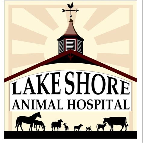 Lakeshore animal hospital - 